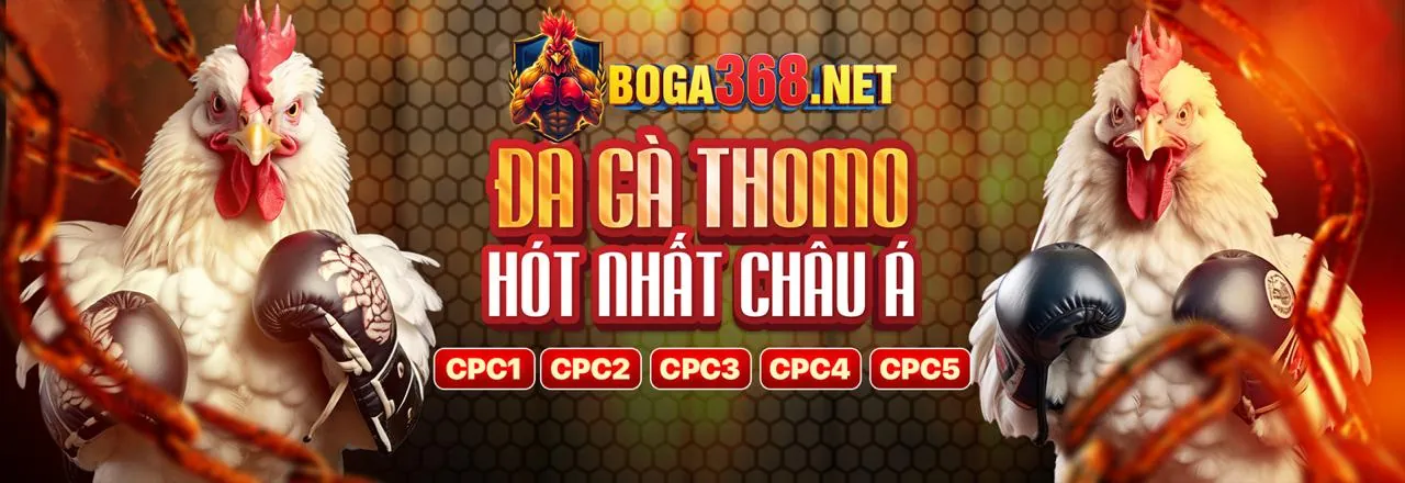 Mẹo và chiến lược cá cược thể thao